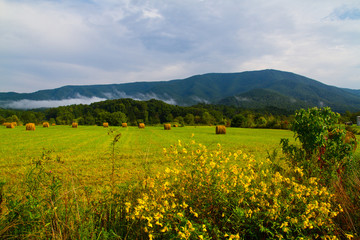 Smoky Mountains Tennessee Landscapes