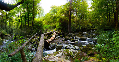 Smoky Mountains Tennessee Landscapes