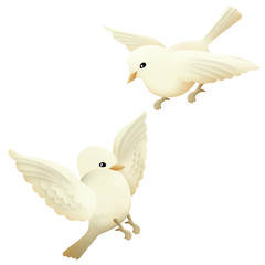 Fototapeta premium Two cute baby pigeons illustration on white background