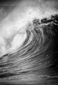 Big breaking Ocean wave in black and white at Waimea bay on the north shore of Oahu Hawaii