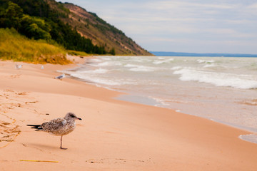 Exploring Michigan Landscapes and Towns