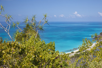 Caribbean Beach From Above, Antigua
