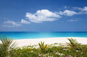Fototapeta na wymiar Beautiful Caribbean Beach, Antigua