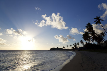 Caribbean Beach Against The Light, Antigua