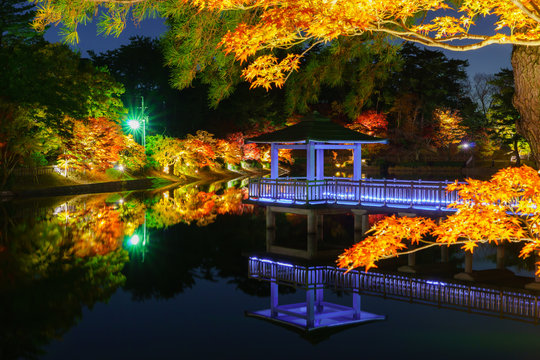 Autumn leaves in Okazaki east park