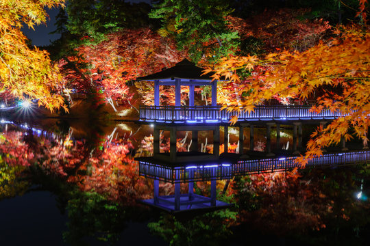 Autumn leaves in Okazaki east park
