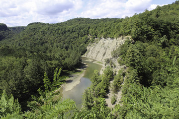 Fototapeta na wymiar View the the genesee River. Steep banks of the gorge and forest