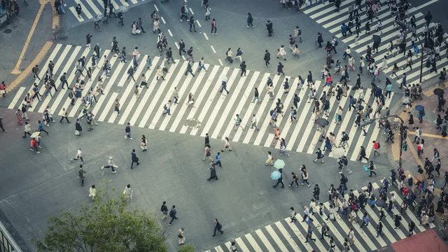 City pedestrian scramble street crossing in Tokyo, Japan