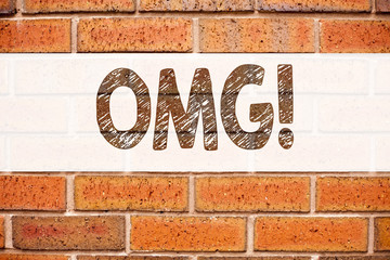 Conceptual announcement text caption inspiration showing OMG Oh My God. Business concept for Surprise Humor written on old brick background with copy space