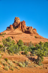 Fototapeta premium Exploring Arizona Landscapes