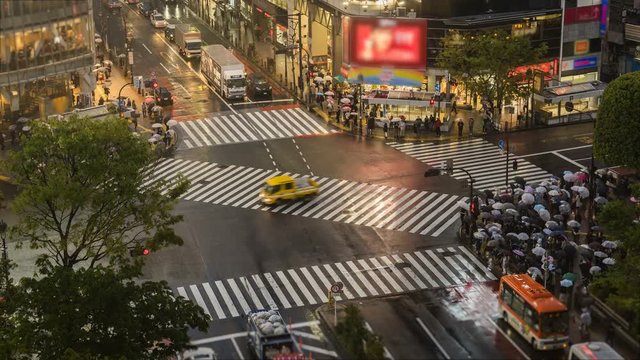 Pedestrian scramble crosswalk in Shibuya, Tokyo. Night rainy time lapse of people with umbrellas crossing the street in business district