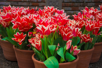 Landscape and Architecture