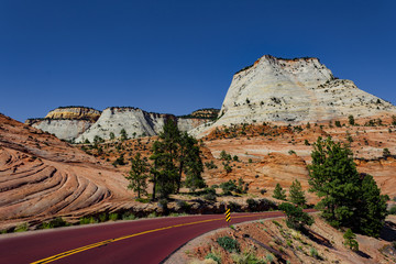 Big blue sky with the amazing red road in Zion National Park in Southern Utah.