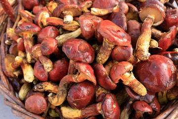 bunch of fresh mushrooms in basket for sale