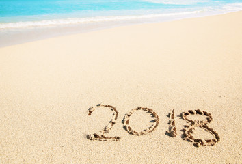 Celebrating the year 2018 on a tropical beach
