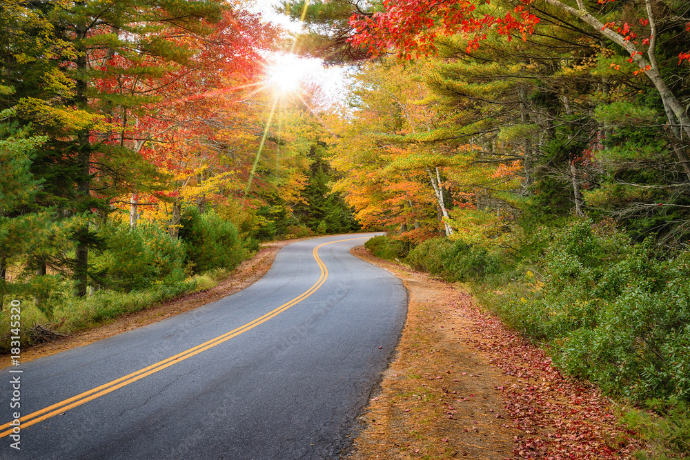 Wall mural winding road curves through splendid autumn foliage in new england. sun rays peeking through colorfu