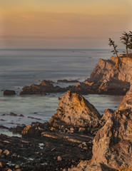 Cape Arago at Sunset - Charleston, Oregon