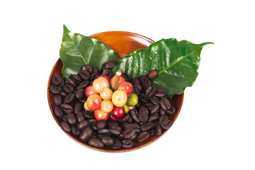 fresh coffee beans on dry coffee beans in wood dish.