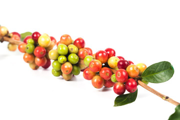 fresh coffee beans on white background ,concept food and drink.