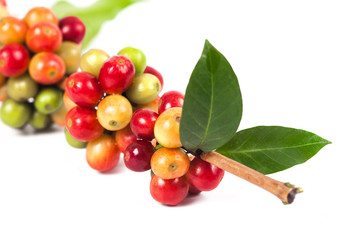 fresh coffee beans on white background ,concept food and drink.