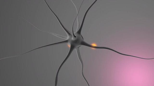 3D rendered Animation of electric Impulses going through a Neuron	