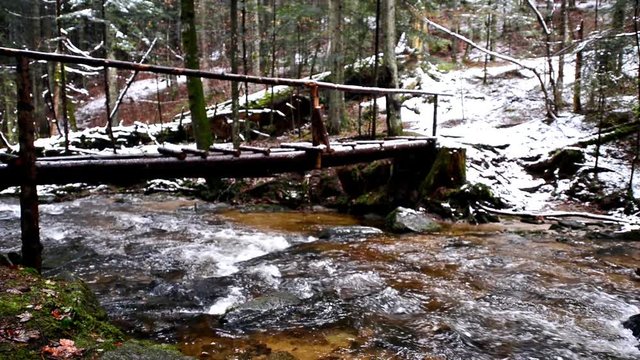 Large fallen trunk of spruce, fir in the woods, mountain river, stream, creek with rapids in late autumn, early winter with snow, vintgar gorge, Slovenia