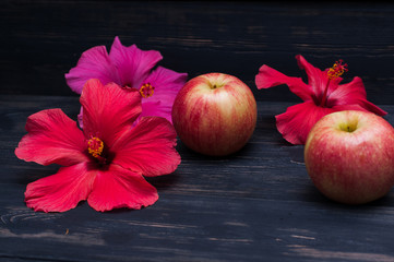 Apples and flowers of hibiscus against the background of black boards