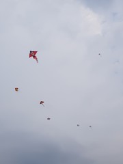 Kites in Sky