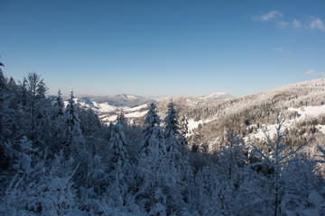 Winter landscape black forest germany south part