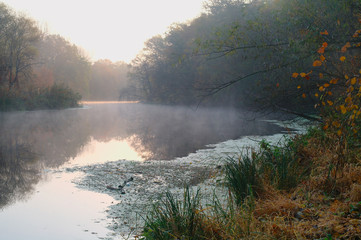 River landscape and autumn wood