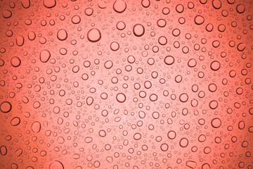 Rain droplets on red glass background, Water drops on glass.