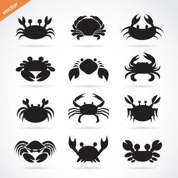 Set of vector crab icons on white background. Aquatic animals.