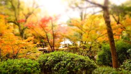 和歌山城西ノ丸庭園紅葉