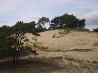 Wanderd&uuml;ne an der Elbe