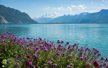flowers and landscape mountain,Switzerland