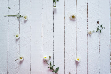 White flowers on a white wooden background.