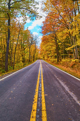 Fall Road in Michigan All Yellow Trees