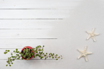 白い砂のビーチ　南国イメージ　背景素材