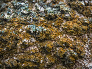 Background.  Texture.