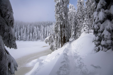 Mummelsee im Schwarzwald