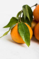 Fresh, ripe, organic mandarin oranges, clementines or tangerines with stems and leaves still wet with water drops on white wooden background, untreated mandarines with little blemishes, freshly picked