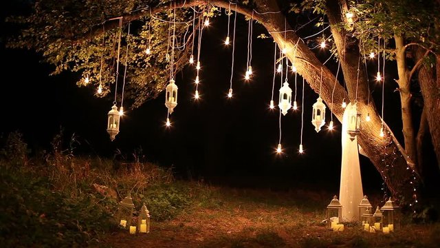 Decorative antique edison style filament light bulbs hanging in the woods, glass lantern, lamp decoration garden at night, magic forest, light bulbs and glow hang on the tree in the forest