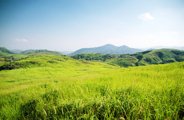 Fototapeta premium Excited hope love natural grassland ecological autumn sunset. Carpet leisure travel health party dance romantic holiday game love happiness at ease outing flirting stroll in the sun kiss sport golf