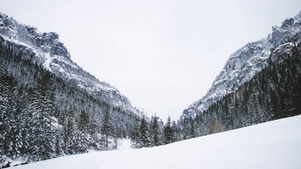 zakopane hikink © wonglaiman