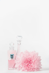 Pastel pink cosmetic product setting  with flower on white background, front view. Layout for skin care, wellness or spa and beauty concept