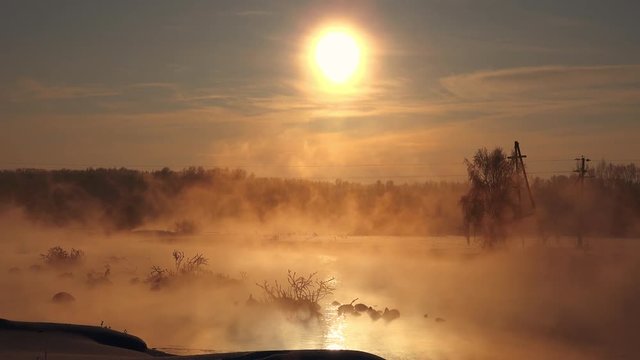 Snags in the river water in early winter morning