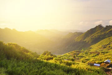 Foto op Plexiglas Wonderful scenery in mountains during summer colorful sunset. © nelzajamal