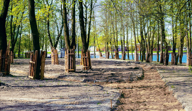Protection planks of tree trunks from mechanical damage during construction work