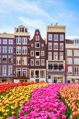 Vieux bâtiments traditionnels et tulipes à Amsterdam, Pays-Bas