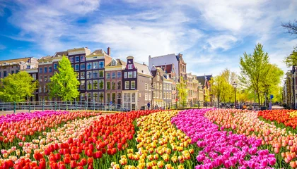 Abwaschbare Fototapete Amsterdam Traditionelle Altbauten und Tulpen in Amsterdam, Niederlande